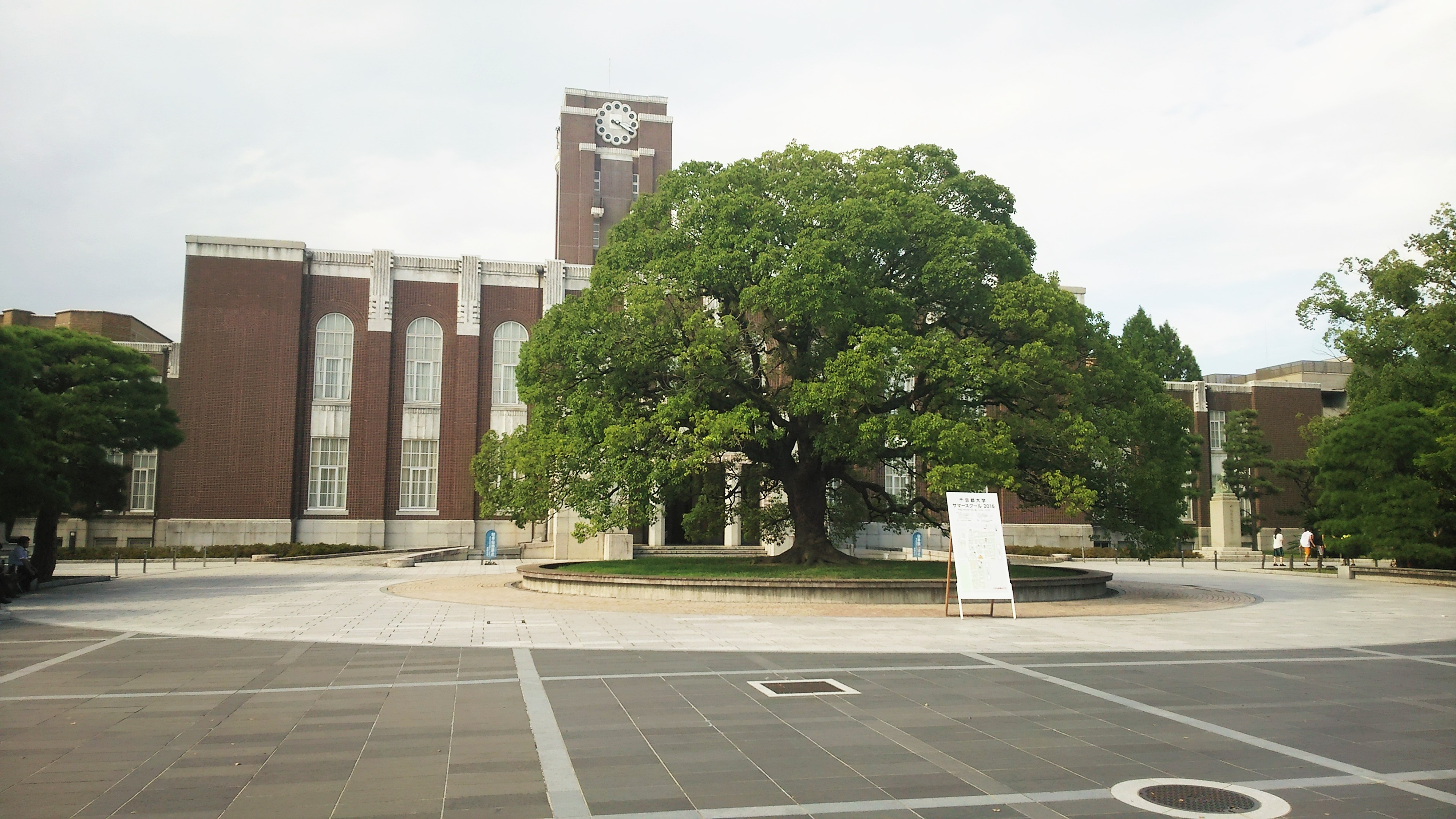 田村恵子 京都大学